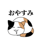 煽るネコ スタンプ（個別スタンプ：11）