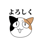 煽るネコ スタンプ（個別スタンプ：13）