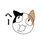煽るネコ スタンプ（個別スタンプ：14）