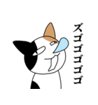 煽るネコ スタンプ（個別スタンプ：19）