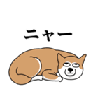 煽るネコ スタンプ（個別スタンプ：21）