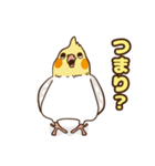 コンパクトオカメゆぴぃ【スタンダード】（個別スタンプ：3）