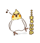 コンパクトオカメゆぴぃ【スタンダード】（個別スタンプ：4）