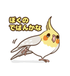 コンパクトオカメゆぴぃ【スタンダード】（個別スタンプ：7）