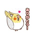 コンパクトオカメゆぴぃ【スタンダード】（個別スタンプ：8）