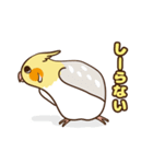 コンパクトオカメゆぴぃ【スタンダード】（個別スタンプ：13）