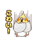 コンパクトオカメゆぴぃ【スタンダード】（個別スタンプ：17）