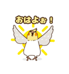 コンパクトオカメゆぴぃ【スタンダード】（個別スタンプ：19）