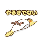 コンパクトオカメゆぴぃ【スタンダード】（個別スタンプ：21）