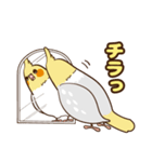 コンパクトオカメゆぴぃ【スタンダード】（個別スタンプ：23）