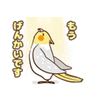 コンパクトオカメゆぴぃ【スタンダード】（個別スタンプ：24）