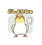 コンパクトオカメゆぴぃ【スタンダード】（個別スタンプ：25）