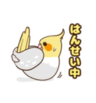コンパクトオカメゆぴぃ【スタンダード】（個別スタンプ：26）