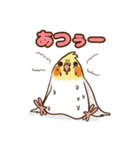 コンパクトオカメゆぴぃ【スタンダード】（個別スタンプ：37）