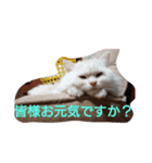 マフィンの日常会話（個別スタンプ：8）