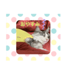 あおいちゃん♡2（個別スタンプ：2）