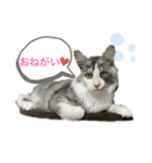 あおいちゃん♡2（個別スタンプ：5）