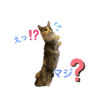 あおいちゃん♡2（個別スタンプ：6）
