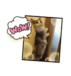 あおいちゃん♡2（個別スタンプ：9）