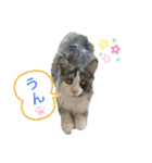 あおいちゃん♡2（個別スタンプ：11）