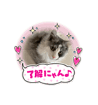 あおいちゃん♡2（個別スタンプ：16）