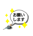かわいいリアルセキセイインコ日常会話（個別スタンプ：18）
