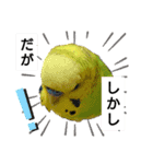 かわいいリアルセキセイインコ日常会話（個別スタンプ：19）