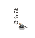 かわいいリアルセキセイインコ日常会話（個別スタンプ：27）