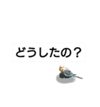 かわいいリアルセキセイインコ日常会話（個別スタンプ：29）