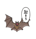 しゃべるコウモリ（個別スタンプ：31）