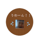 たおの日常スタンプ4（個別スタンプ：29）