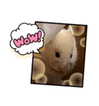 sakuma 10（個別スタンプ：5）
