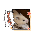 sakuma 10（個別スタンプ：6）