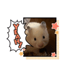 sakuma 10（個別スタンプ：7）