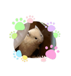 sakuma 10（個別スタンプ：8）