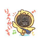 sakuma 10（個別スタンプ：15）