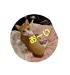 ゆづ用〜（個別スタンプ：1）