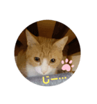 ゆづ用〜（個別スタンプ：4）