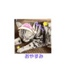 ゆづ用〜（個別スタンプ：8）