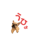 フレブルマイルの何となく使えるスタンプ（個別スタンプ：5）
