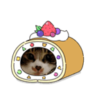 3匹のうちの子スタンプ3（個別スタンプ：5）