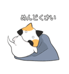 おばねこスタンプ（個別スタンプ：9）