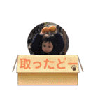 ちゃこの部屋 ver.4（個別スタンプ：16）
