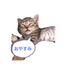 ルナとノア（個別スタンプ：1）