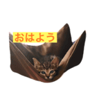 ルナとノア（個別スタンプ：2）