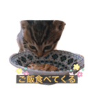 ルナとノア（個別スタンプ：8）