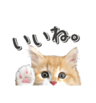 にゃんスタンプ。（個別スタンプ：3）