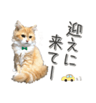 にゃんスタンプ。（個別スタンプ：21）