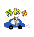 にゃんスタンプ。（個別スタンプ：23）
