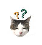 にゃんスタンプ。（個別スタンプ：32）